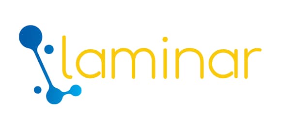 Laminar Consulting Services